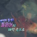 호미곶돌문어사업협동조합 이미지