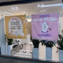 오쉬오트 네이버블로그