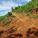 시진농장 이미지