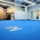 용인대 선샤인 유도 이미지