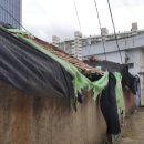 서구-01-45 이미지