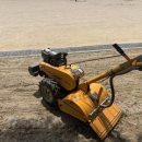 대일초등학교 이미지