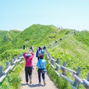 탄조 | 일본 북해도여행 삿포로 오타루 여행 샤코탄 투어 직접 다녀온 후기