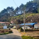 모노골샘터 이미지