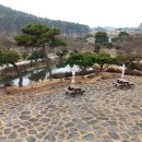 김요수농장 네이버블로그