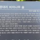 거목다방 이미지