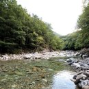 주천면 용담마을 이미지