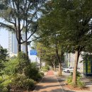 본디올혜화당한의원 이미지