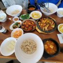 송화신발 | 고양 쭈꾸미 고양 덕양구 한식 맛집 송화에서 진짜 주꾸미볶음과 산채보리밥 제대로 즐긴 솔직 후기