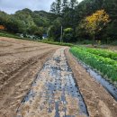 기철한우 이미지