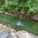 숲속산장 | 완주 운장산 동상계곡 숲속산장 평상대여 물놀이 추천 백숙 후기