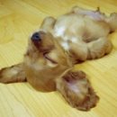 별빛태권도 이미지