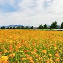 장자호수공원(시민의숲) 이미지