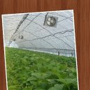 쭈쭈바PC 이미지