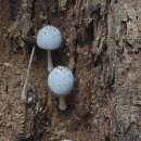 광명여인숙 이미지