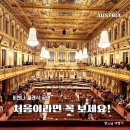 유럽 도시에 흐르는 클래식 음악 | 빈 음악협회 비발디 사계 클래식 공연 후기, 예약·좌석·드레스코드·관람 팁