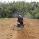 낙안농장 이미지