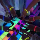 제이앤제이애견 이미지