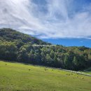 동막골목장 이미지