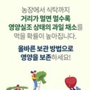 과일채소 이미지