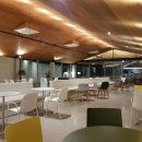 호미호시 이미지