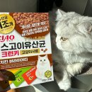 챠오(Ciao) | 입증된 기호성 , 이나바 챠오(Ciao) 스고이 👍 유산균사료_내돈내산 후기