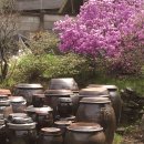 상두리마을 이미지