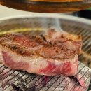 을지정육식당 Daum카페