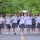 빅토리 이미지
