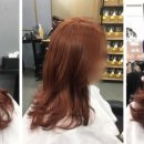 보그헤어원주점 이미지