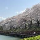 은파호수공원 이미지