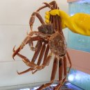 어서오시게 인천청라점