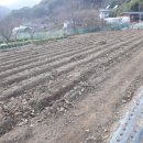 죽장한의원 이미지