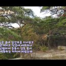 보현사샘물 | 한소식을.. ㅋㅋ