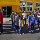 대구초등학교 이미지