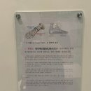 일상 재활운동센터 | 강서구 재활센터 :: 일상재활운동센터&amp;PT :: 무릎 내측인대 파열로 재활운동 후기