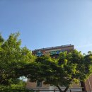 맹산환경생태학습원 | 분당 아이랑) 맹산환경생태학습원 주차, 장소, 볼거리, 근처 식당