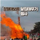 정월대보름 알차게 즐기기 달집태우기 관람 후기