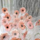 봉림초등학교 이미지