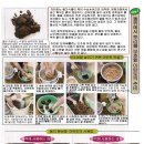정언 이미지