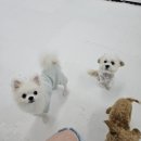 행복을 배우는 공간 이미지