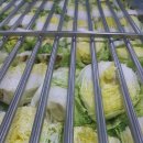 농업회사법인 (주) 햇살푸드