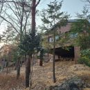 흑석산자연휴양림 이미지