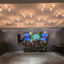 라이블리(Lively) 이미지