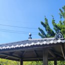 동막5리마을회관 이미지