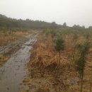 신풍농장 이미지