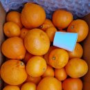 봉이농장 이미지