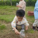 장꾸 그 잡채 ! 4세 남아 4월 넷째주 일상 기록