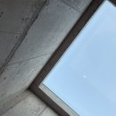 미므미므 이미지