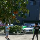 꺽쇠한우 이미지